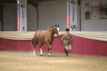 SBM_05509