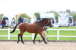 SBM_01831