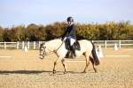 SBM_009093