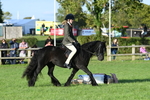 SBM_54082