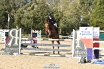 Cls 5 Foxhunter & 1.20m Open portfolio