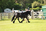 SBM_00885