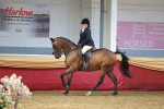 SBM_20109