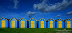8 Yellow Doors