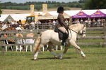 SBM_06935