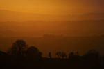 View from Eggardon Hill