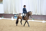 SBM_002239