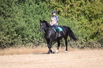 WJ6_7335