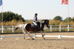 SBM_006994
