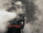 75029 Emerges