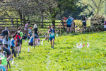 The Finish-336