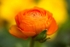 20120406-_MG_9450