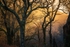 Misty-Sunset