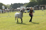 SBM_00665