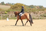 SBM_011189