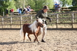 In-Hand Showing portfolio