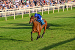240726-Race 5-Diamond Rain-0547