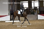 BPP_2260