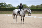 Unaffiliated Dressage portfolio