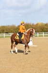 SBM_000735