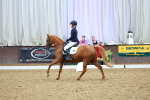 SBM_005033