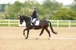 SBM_005536