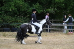 WJ7_7849