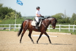 SBM_009651