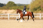 SBM_018586