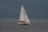 Gourock 1st May 2010
