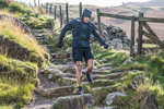 Langdale -1166