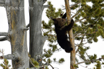 Just Hanging Around_8917