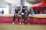 SBM_14656