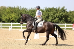 SBM_010225