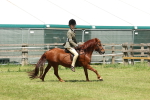 SBM_06829
