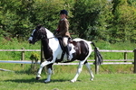 3E7A8820