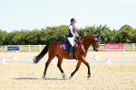 SBM_009564