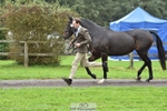 046-EQUITES.MAIL-Joel.Hart-TrotUp portfolio