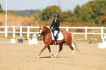 SBM_017562