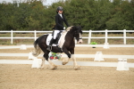SBM_001286