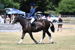 WJ7_3692