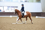 SBM_000449