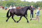 SIAL3440