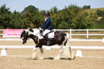 SBM_011841