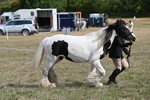 WJ6_6471