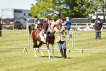 SBM_05458