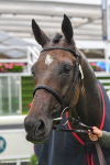 140723-Race 7-Gibside-0783