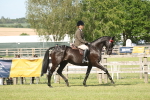 SBM_09527