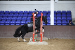SBM_000495