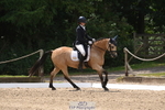 141-Chloe.Dunn-Towerhill.Shamie portfolio